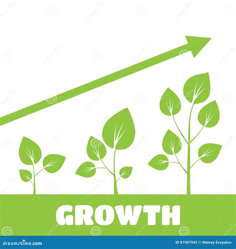 Tree growth diagram stock illustration. Illustration of grow - 81907942