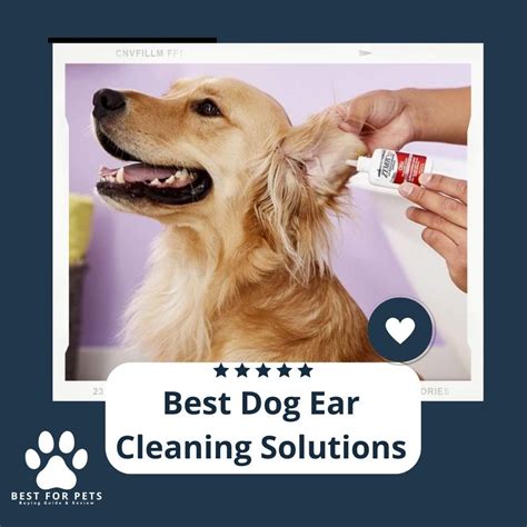 The 12 Best Dog Ear Cleaning Solutions of 2023