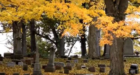 Taylor police to hand over discarded boxed cremains to a cemetery for proper keeping – The News ...