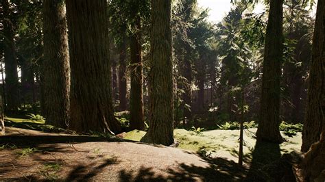 Redwood trees ferns model - TurboSquid 1428861