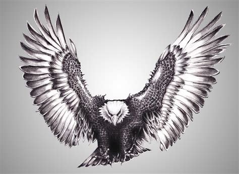 Eagle Tattoo Drawing - Drawing.rjuuc.edu.np