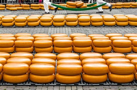 Premium Photo | Traditional dutch cheese market in alkmaar the netherlands