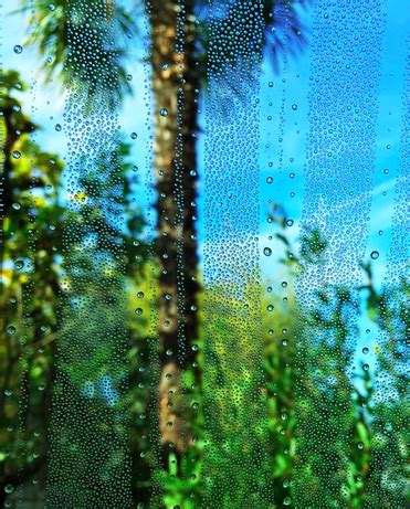 Why Window Condensation Happens & 3 Solutions to Fix It!