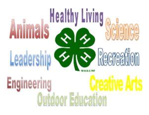 4-H Projects - Leon