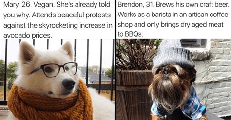 Doggos With Dating App Profiles That Prove That Puppos Have More Personality Than the Last Chad ...