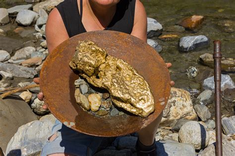 Gold Nugget Mining From The River Stock Photo - Download Image Now - iStock