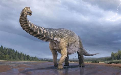 Bruhathkayosaurus matleyi | DinoAnimals.com