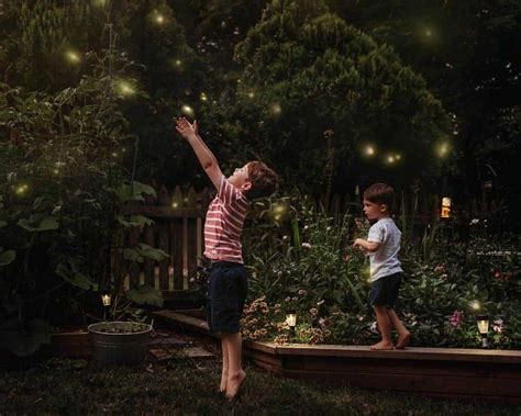 Fun with Fireflies • RUN WILD MY CHILD