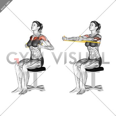 Resistance Band Seated Chest Press (female)