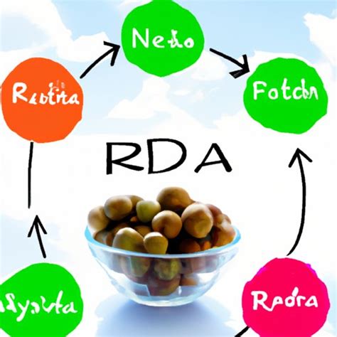 What Is RDA in Nutrition? A Comprehensive Guide to Understanding Recommended Daily Allowances ...