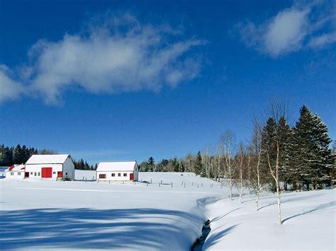 Winter Scenes in Canada: A Gorgeous Photo Gallery | Our Canada