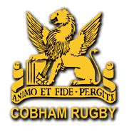 Cobham RFC 3G Artificial Grass Rugby Pitch benefits club and school