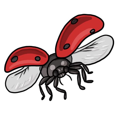 Free Ladybug Flying Cliparts, Download Free Ladybug Flying Cliparts png images, Free ClipArts on ...