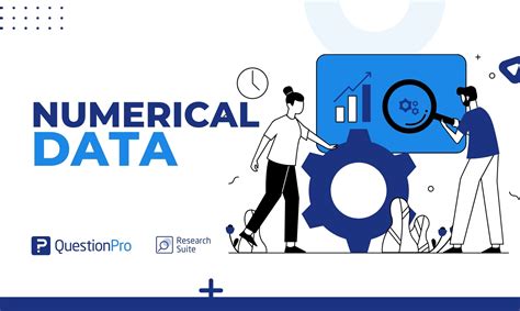 Numerical Data: What Is It, Characteristics, Types & Examples