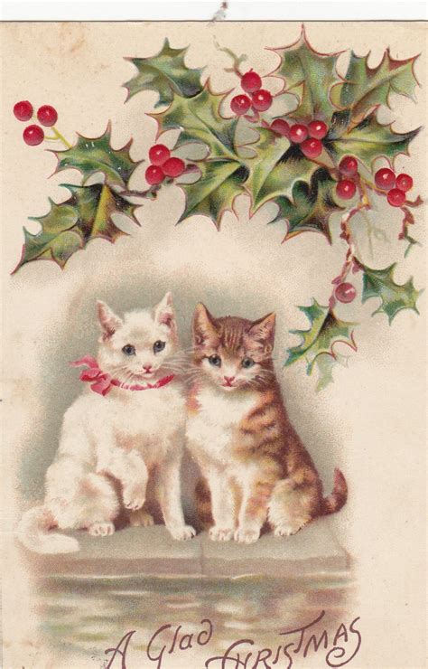 Old Christmas Post Card — Pretty Kitty Cats and Holly' (1024x1600) | Cat christmas cards ...