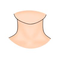 Neck Clipart