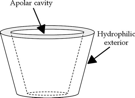 7 Structure of cyclodextrin. | Download Scientific Diagram