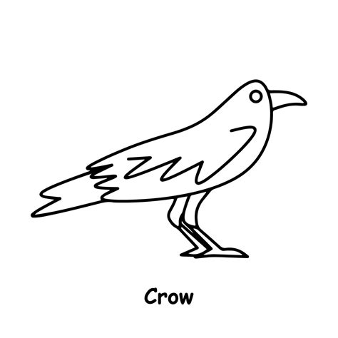 crow line drawing 5994358 Vector Art at Vecteezy