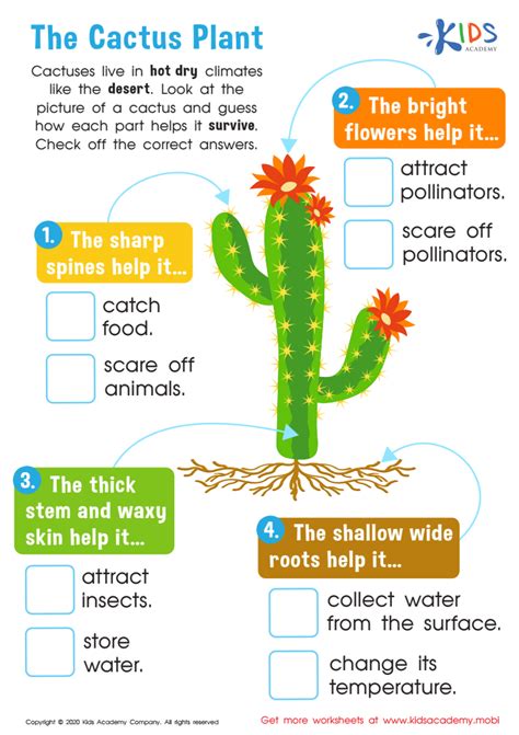 Free The Cactus Plant Worksheet with answer for Kids