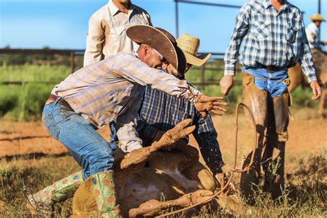 Cowboys of the Waggoner Ranch - Cowboys of Waggoner Ranch | Cowboys ...