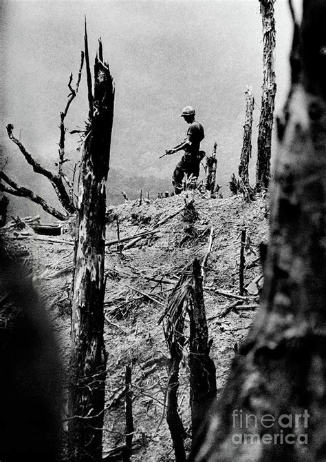 Pulitzer Prize Photo From Vietnam War by Bettmann