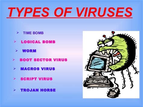 Computer viruses