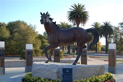 Cal Poly Mustang - San Luis Obispo California - School Mascots on Waymarking.com