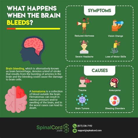 Brain Hemorrhage Recovery Time, Causes, and Symptoms