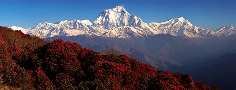 Ghorepani Poon Hill Trek - Sherpatrekker