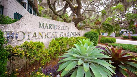 Marie Selby Botanical Gardens debuts brand new design plan