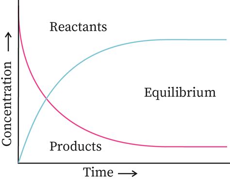 Chemical Equilibrium | bartleby