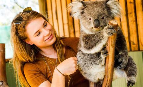 Moonlit Sanctuary - The best place to see Aussie animals!