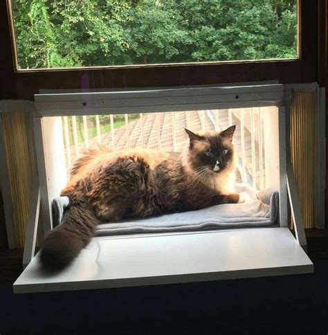 Cat Window Box – Cat Solarium, The Cat Window Box, Catio, Cat Balcony