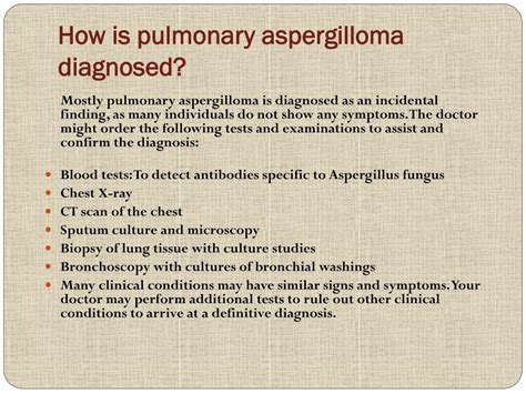 PPT - Pulmonary Aspergilloma: Causes, Symptoms, Daignosis, Prevention and Treatment PowerPoint ...