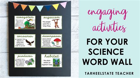 Interactive Activities and Ideas for Your Science Word Wall ...