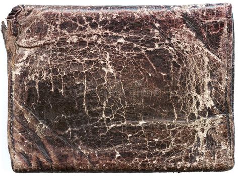 Old leather texture stock photo. Image of messy, horizontal - 7341042