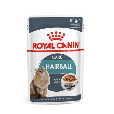 Royal Canin Hairball Care Wet Cat Food, 85g - Smart Pet Kuwait