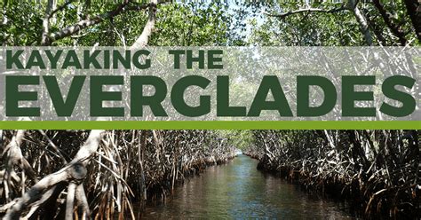 Kayaking the Everglades | Paddling.com