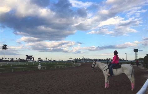 Gulfstream Park on Twitter: "Racing is back on! First race at 12:30pm ...