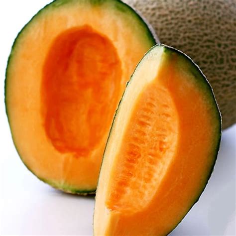 Cantaloupe Seeds - Etsy