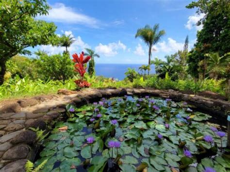 Garden of Eden Maui - This Hawaii Life