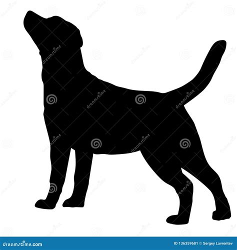 Dog Labrador Retriever Breed. Silhouette Stock Vector - Illustration of ...