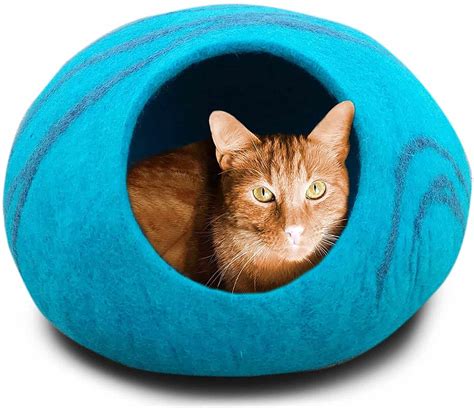 The 6 Best Cat Beds – Cat Stuff Plus | The Best Cat Guides, Tips and Product Reviews