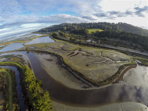 Spotlight On Refuge Projects: Tidal Wetlands Restoration Project ...