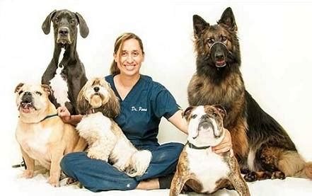 Parkview Animal Hospital - Best4Pets