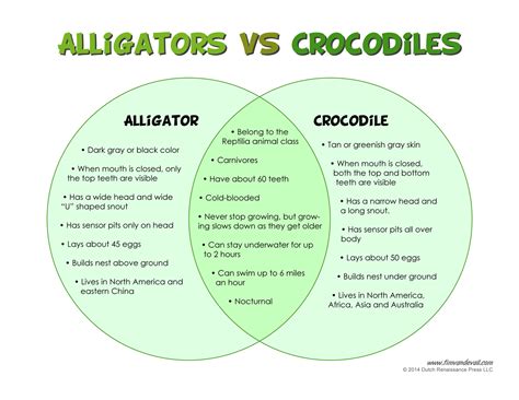 The Difference Between Alligators and Crocodiles