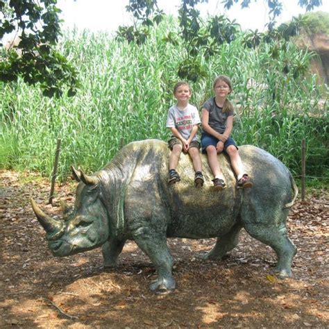 Bronze Rhinoceros Sculpture