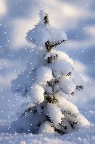 Snow White Christmas GIF - Snow WhiteChristmas SnowTree - Discover ...