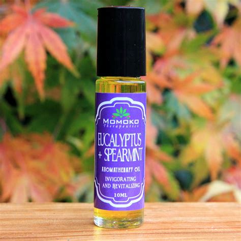 Eucalyptus Spearmint Aromatherapy Oil Chakra Essential Oil - Etsy