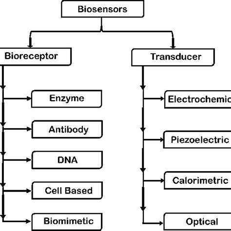 Different categories of biosensor | Download Scientific Diagram